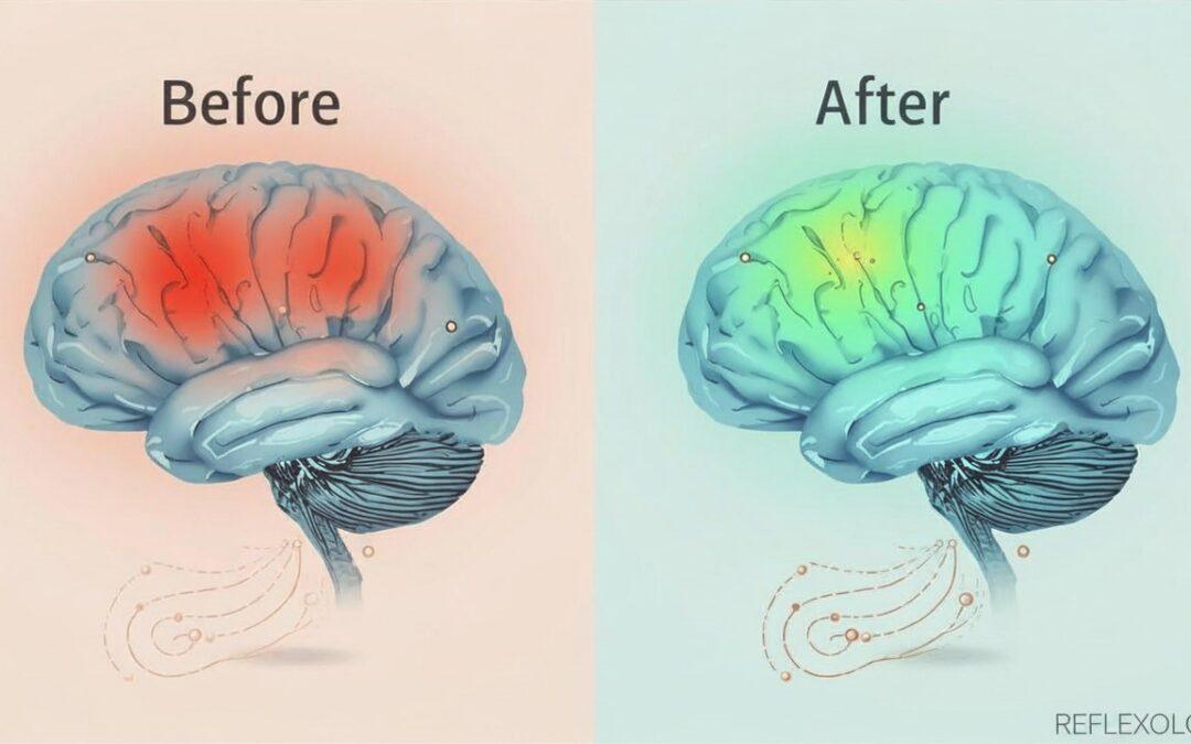 Evidence Round-Up: How Reflexology Reduces Pain Perception
